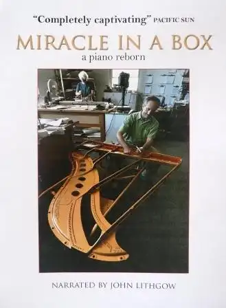 Watch and Download Miracle in a Box: A Piano Reborn 2