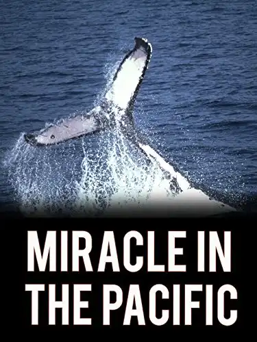 Watch and Download Miracle in the Pacific 1