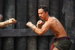 Watch and Download Muay Thai Warrior 12