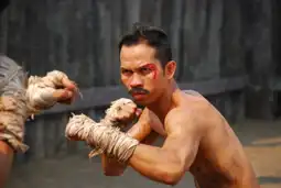 Watch and Download Muay Thai Warrior 14