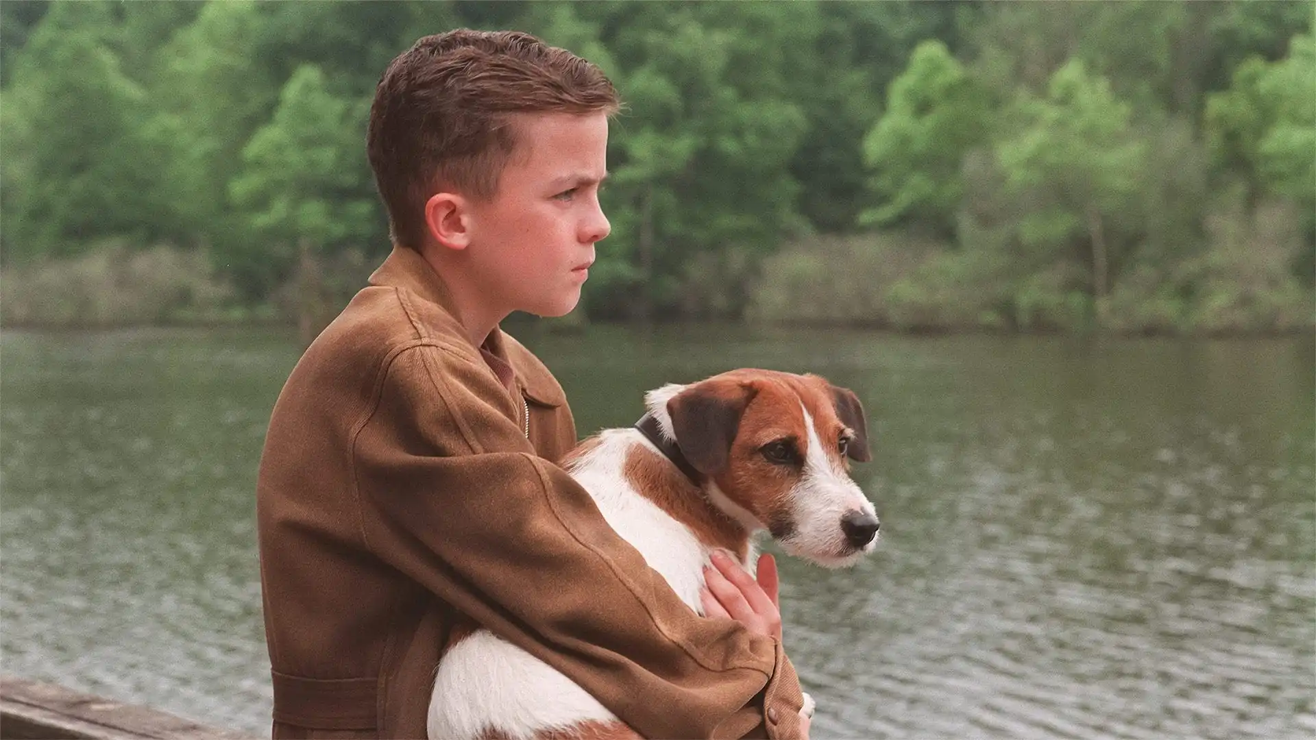 Watch and Download My Dog Skip 1