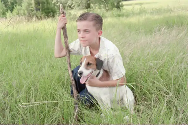 Watch and Download My Dog Skip 11