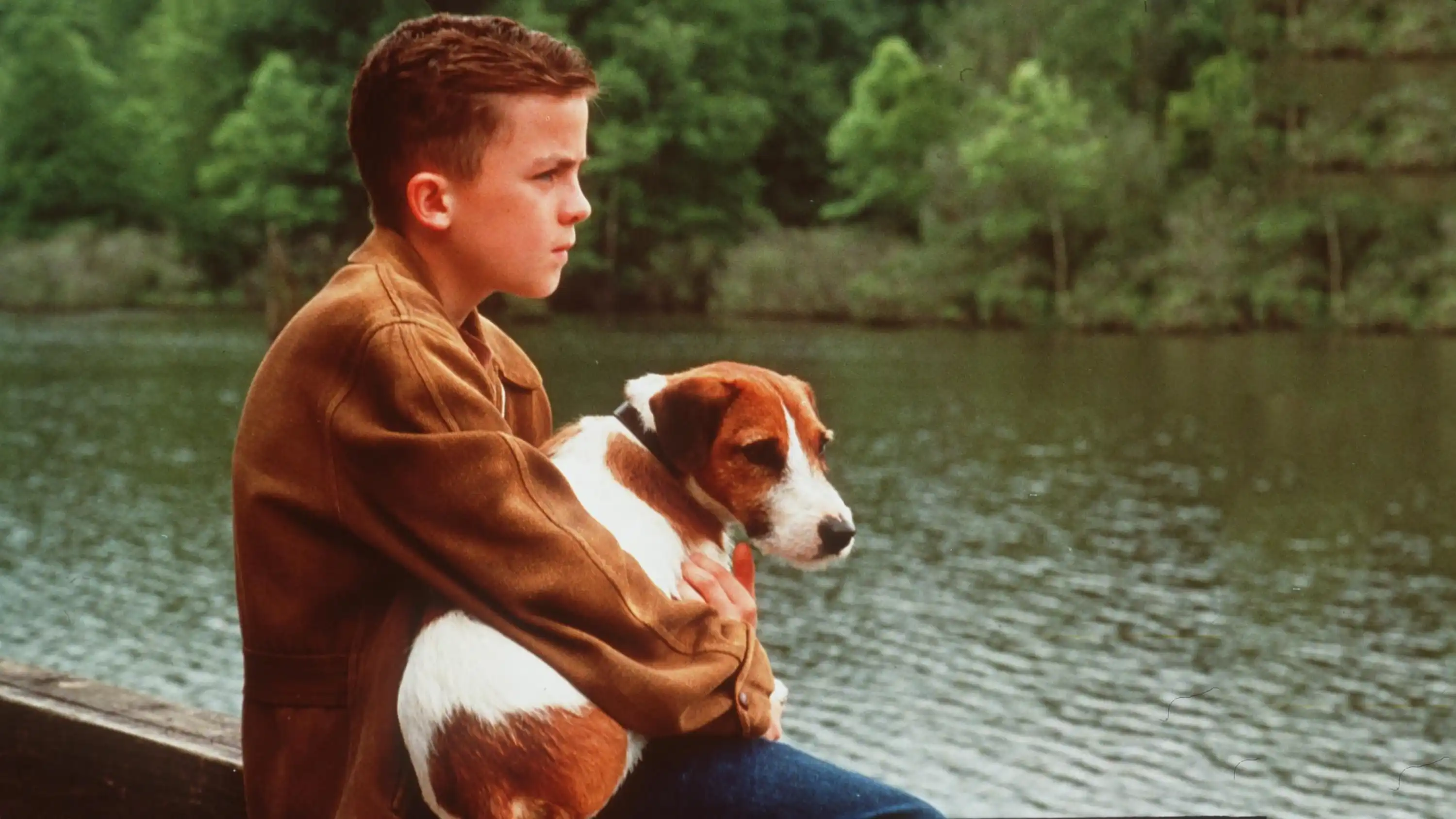 Watch and Download My Dog Skip 2