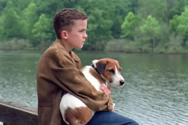 Watch and Download My Dog Skip 5
