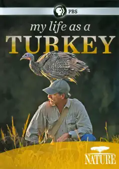 Watch and Download My Life as a Turkey