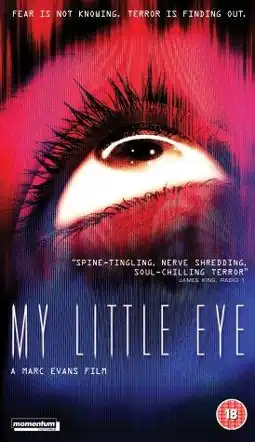 Watch and Download My Little Eye 12