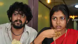 Watch and Download Mynaa 2