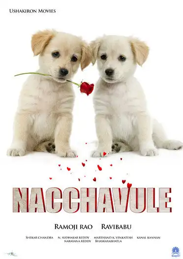 Watch and Download Nachavule 1