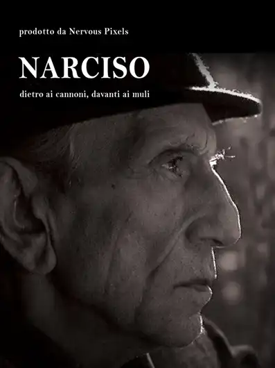 Watch and Download Narciso - Dietro ai cannoni, davanti ai muli 2