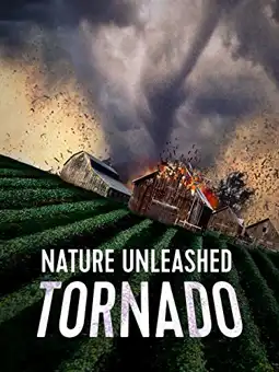 Watch and Download Nature Unleashed: Tornado 2