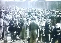 Watch and Download Nazi Scrapbooks from Hell: The Auschwitz Albums 6