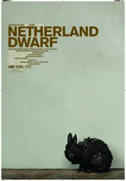 Watch and Download Netherland Dwarf 1