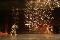 Watch and Download New York Dance States of Performance 8