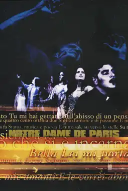 Watch and Download Notre Dame de Paris - Live Arena di Verona 8