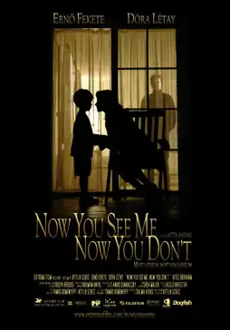 Watch and Download Now You See Me, Now You Don't 4