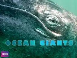 Watch and Download Ocean Giants 3