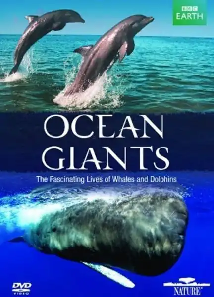 Watch and Download Ocean Giants 4