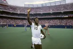 Watch and Download Once in a Lifetime: The Extraordinary Story of the New York Cosmos 13