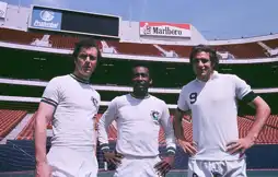 Watch and Download Once in a Lifetime: The Extraordinary Story of the New York Cosmos 14