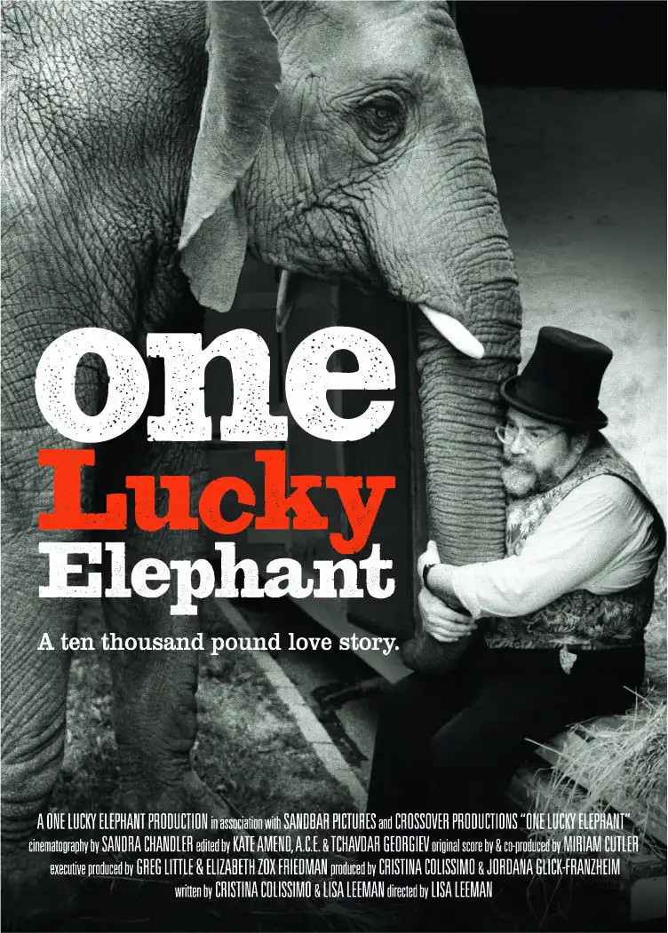 Watch and Download One Lucky Elephant 1