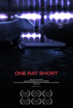 Watch and Download One Rat short 3