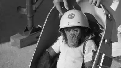 Watch and Download One Small Step: The Story of the Space Chimps 1