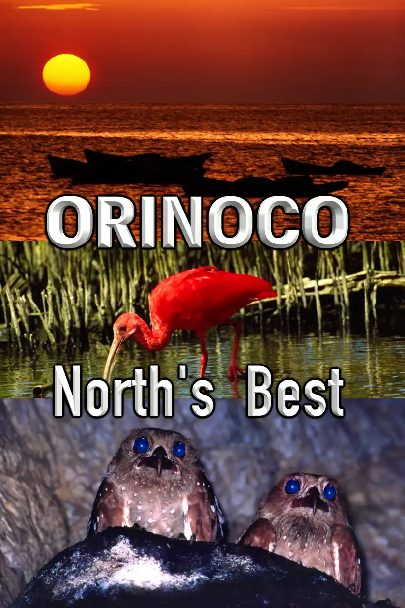 Watch and Download Orinoco, North’s Best 1