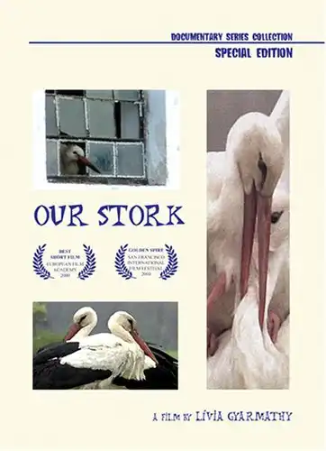 Watch and Download Our Stork 1