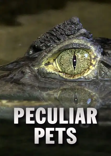 Watch and Download Peculiar Pets 1