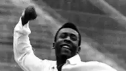 Watch and Download Pelé Forever 2