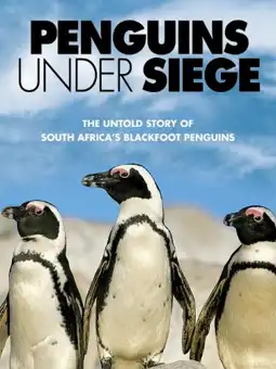 Watch and Download Penguins Under Siege 2