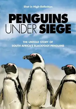 Watch and Download Penguins Under Siege 3