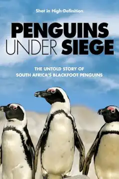 Watch and Download Penguins Under Siege