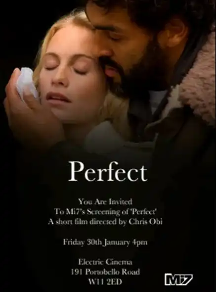 Watch and Download Perfect 1