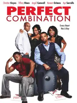 Watch and Download Perfect Combination 2