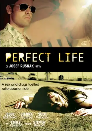 Watch and Download Perfect Life 1