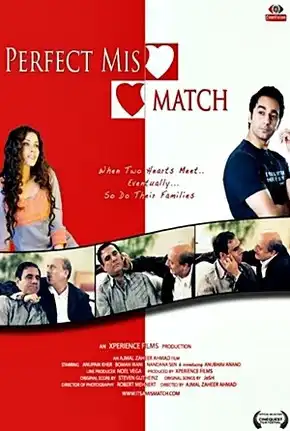 Watch and Download Perfect Mismatch 2