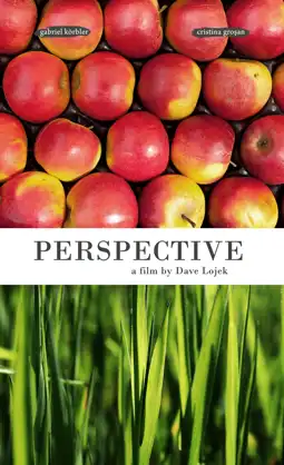 Watch and Download Perspective 7