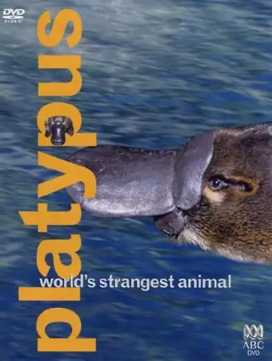 Watch and Download Platypus: World's Strangest Animal 2