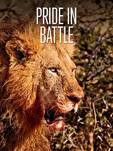 Watch and Download Pride in Battle 1