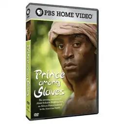 Watch and Download Prince Among Slaves 2