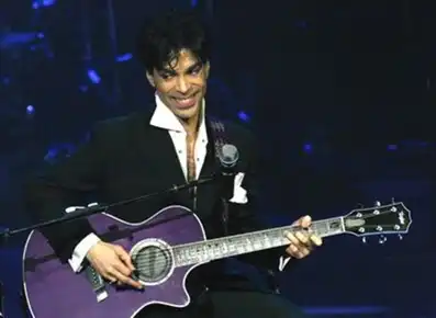 Watch and Download Prince: The Art of Musicology 1