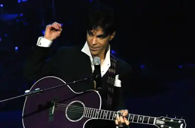 Watch and Download Prince: The Art of Musicology 2