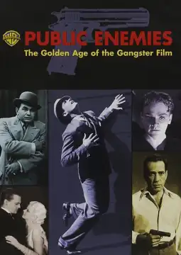 Watch and Download Public Enemies: The Golden Age of the Gangster Film 3