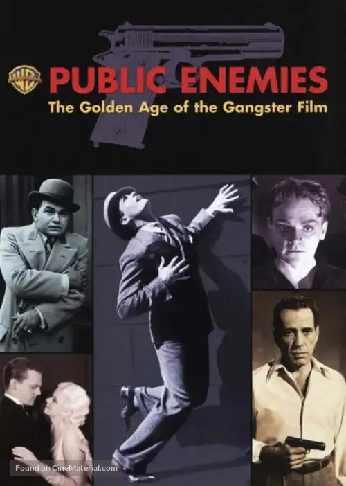 Watch and Download Public Enemies: The Golden Age of the Gangster Film 4