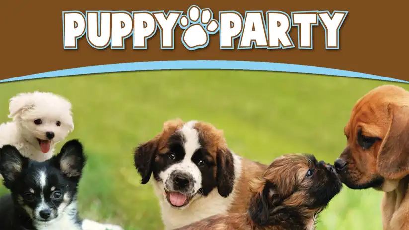 Watch and Download Puppy Party 7