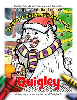 Watch and Download Quigley 14