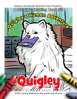 Watch and Download Quigley 15