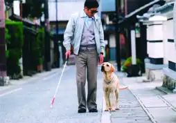 Watch and Download Quill: The Life of a Guide Dog 7