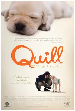 Watch and Download Quill: The Life of a Guide Dog 8